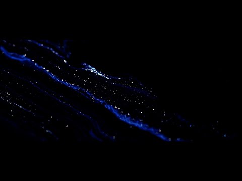 Remy Bourgeois - To Leave Now (Official Video)