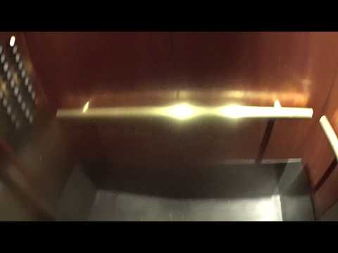 FAST Westinghouse Traction High Rise Elevators At The Parker Hotel In NYC