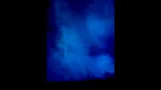 Starlings transferring from tree to tree 26th Nov 2013.