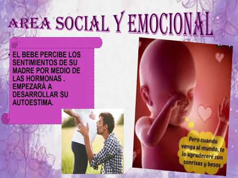 Periodo prenatal de la concepción al nacimiento