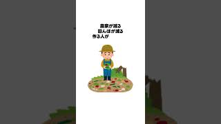 米価格暴落で見えた、今の日本の危うさ