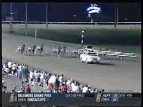 Horse Racing Harness   Metro Pace 2011 Simply Business