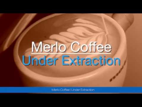 Em Extração com Café Merlo