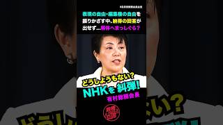 どうしようもない【NHKを糾弾】解体へまっしぐら？自民党有村総務会長
