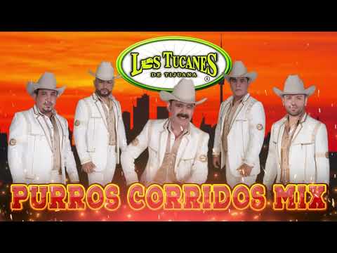 Los Tucanes De Tijuana Corridos Mix - Corridos A Quema Ropa - Puros Corridos