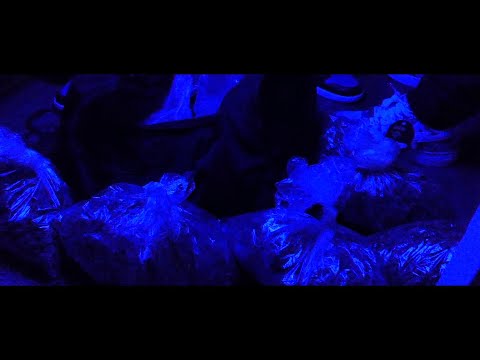 Aone GMG x YTN Zeek - Up In My Bagg (OfficialMusicVideo2021)