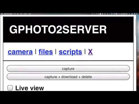 download lagu mp3 mp4 Mvmn, download lagu Mvmn gratis, unduh video klip Mvmn