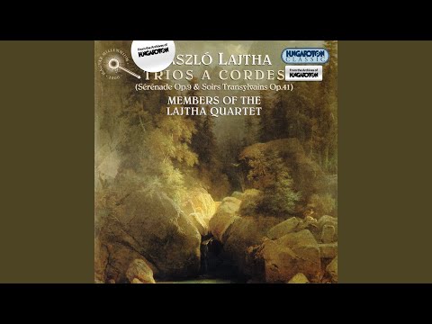 Transylvanian Nights, Op. 41: II. Summer night