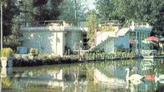 Ducktails - Killin&#39; the vibe