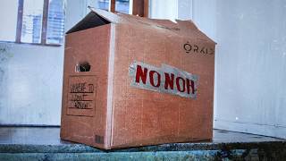 NoNoh - ORKID (Official Audio)