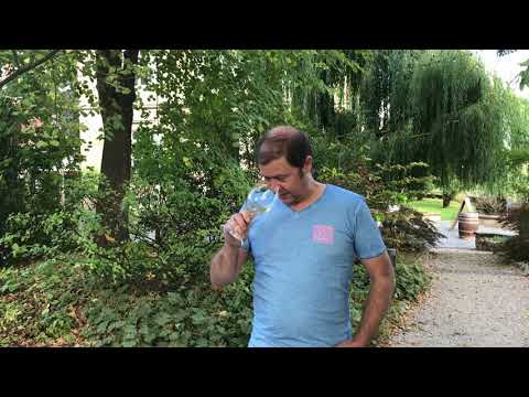 Winzergruß - von Winning