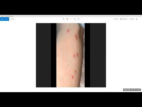 2020 06 13 PM Public Teaching in Vietnamese - Buổi giảng công cộng bằng tiếng Việt