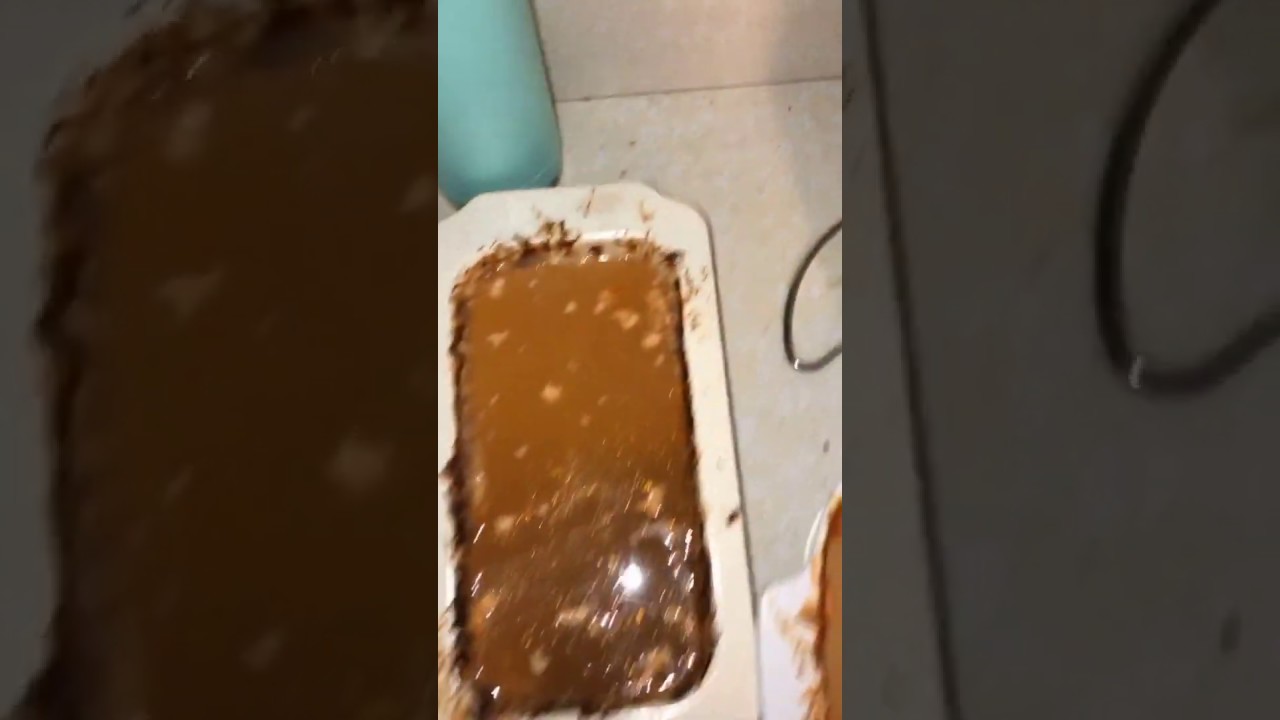 Communist Ants find my Roommate's Dishes