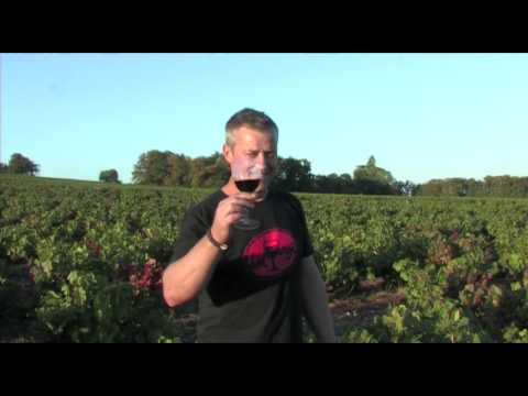 Beaujolais Nouveau Très Vieilles Vignes 2016 - Cyril PICARD (Château de Cercy)