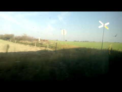 Chociszewo Rogoziniec - Dąbrówka Wielkopolska