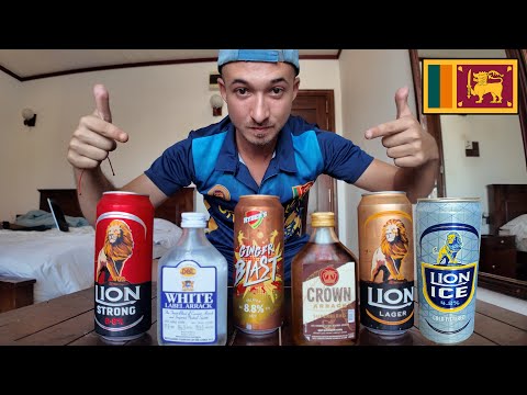 German Trying Sri Lankan Beer for the First Time || Colombo 🇱🇰