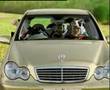 MALI BRAND COW 2 BENZ TVC Www Skyexits Com Thailand