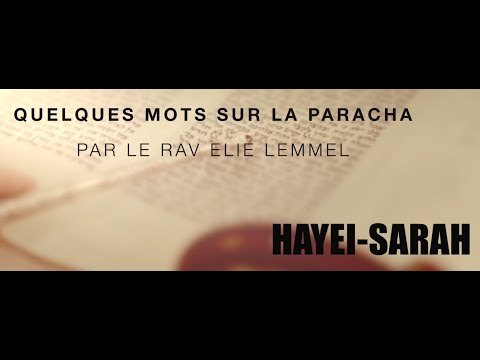 Avons-nous conscience de ce que les autres nous apportent ? Rav Élie Lemmel - Parasha Hayei Sarah