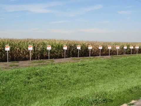 Tribute to The Putnam County Illinois Farming Community