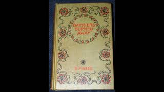 Barriers Burned Away