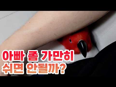 아이콘