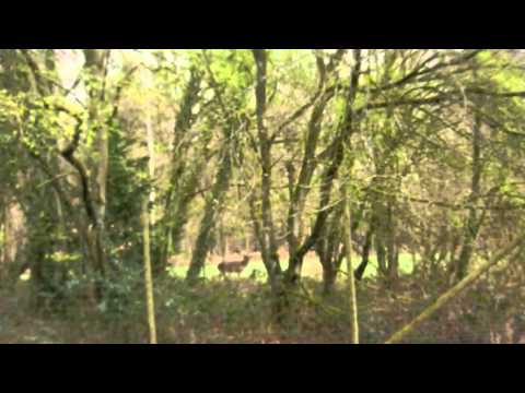 Misty Bywater - Strange Spring #2