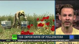 Pollinators: Lord of the Rings Actor Dominic Monaghan Weighs In...