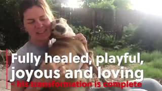 “It is only after the greatest darkness that the greatest light can come” -Malcom X