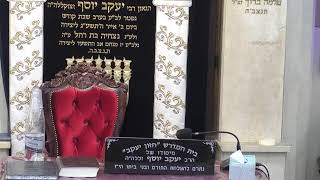 בית המדרש חזון יעקב • יום שישי כד' אדר תשפ'ו (בית הכנסת מוסאיוף) - התמונה מוצגת ישירות מתוך אתר האינטרנט יוטיוב. זכויות היוצרים בתמונה שייכות ליוצרה. קישור קרדיט למקור התוכן נמצא בתוך דף הסרטון