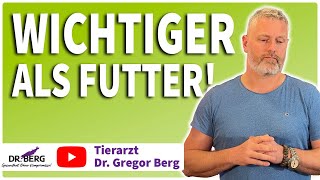 Futter-Streit: Warum Stress für Dein Tier schlimmer ist als falsche Ernährung! I Tierarzt Dr. Berg