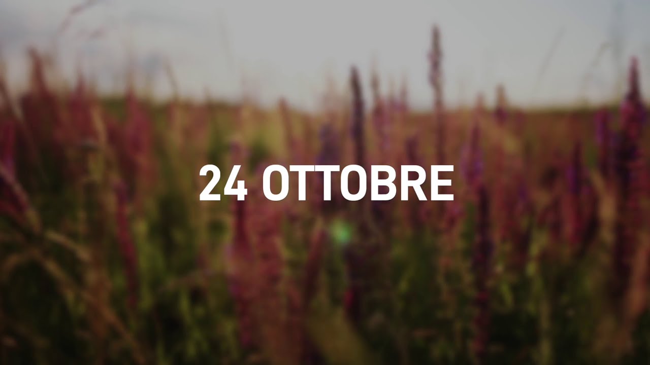 24 Ottobre 2025 | Meditazione Parole di Vita