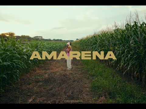 Mario Rodriguez - Amarena (Video Oficial)