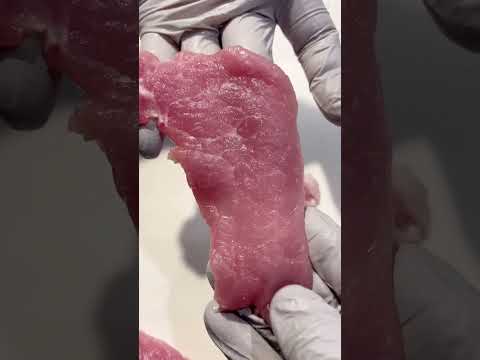 Pork Loin for dogs #droolicious #healthydogtreats #droolingmonsters