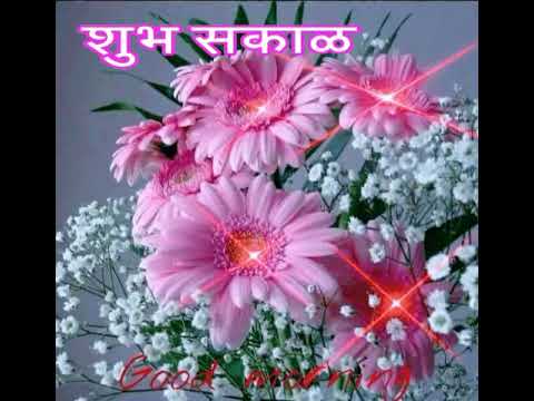 A flower was shining