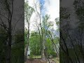 IMG 3943