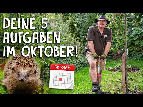 5 things you should still do this month! 🍂 - important gardening tasks in October