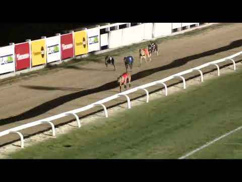 2022.06.03. 08. futam - Júniusi Trófea