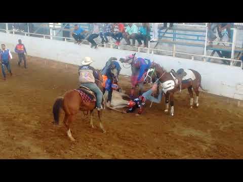 Manga de Coleo Campeones Guariqueño  de Valle de la Pascua