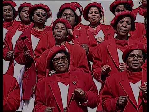 I.P.C.C. - Bayede Ngonyama (Official Music Video)