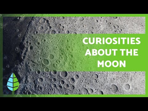 Why does the moon have CRATERS 🌑 CURIOSITIES about the MOON