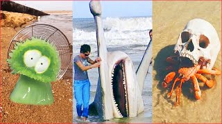 Catching Seafood ๐ฆ๐ ASMR Relaxing (Catch Shark , Catch Fish ,Deep Sea Monster ) #406