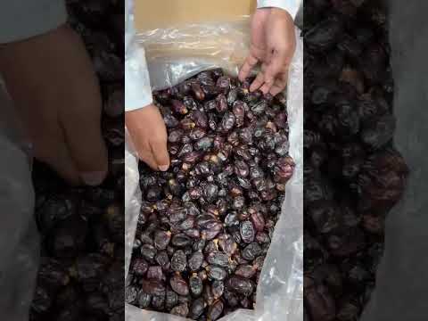 Date Land Khaneezi