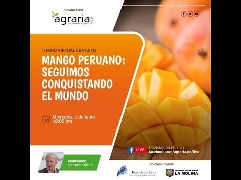 MANGO PERUANO: SEGUIMOS CONQUISTANDO EL MUNDO