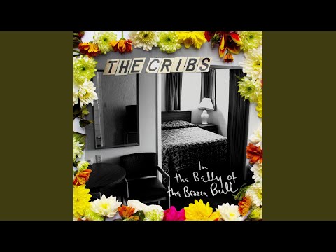 Back to the Bolthole - The Cribs