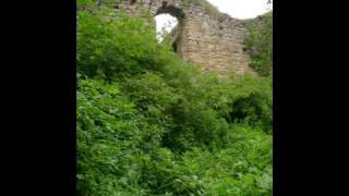 preview picture of video 'Church Ruins In Chumalevo.wmv'