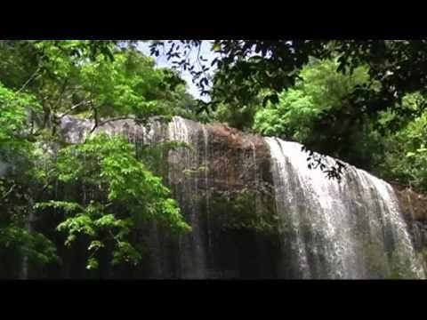 Rainbow`s End, Rainbow`s End,Palau