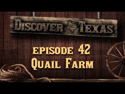 , title : 'Discover Texas Episode 42 Quail Farm'