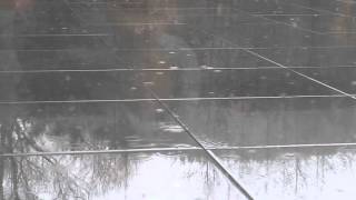 Trans - Prins Thomas... rainy day