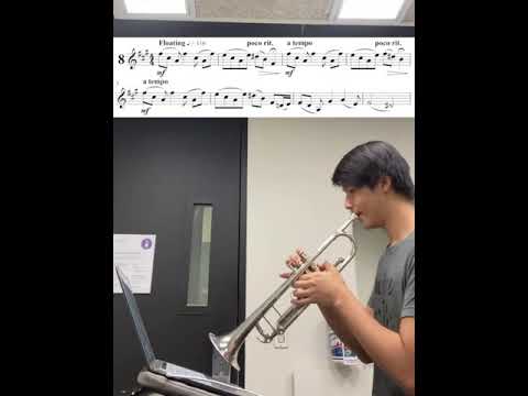 Ost Miniature Etude #8 for Trumpet - Vincent Yim