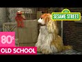 Sesame Street Count Backwards With Elmo And Barkley